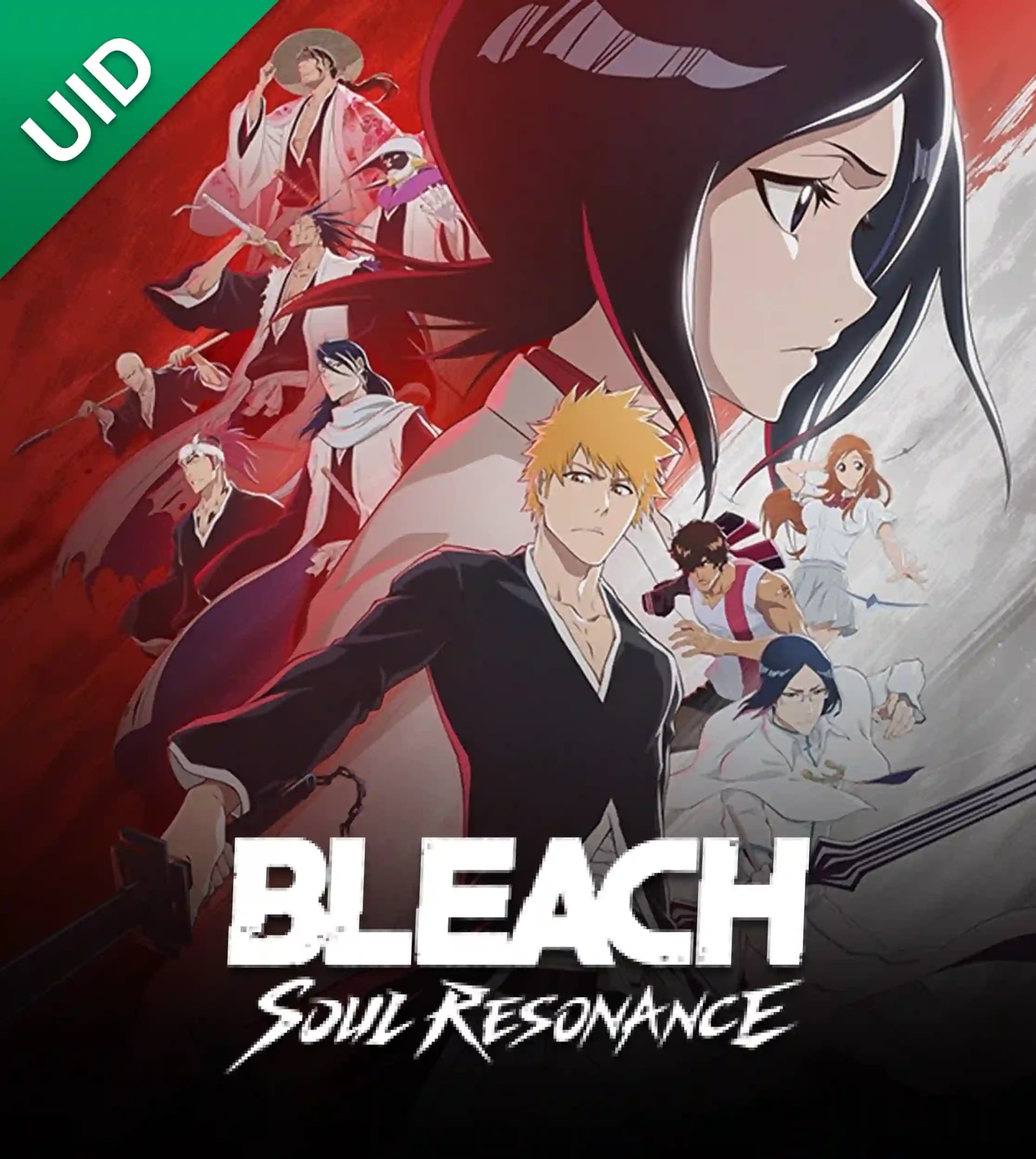 เติม BLEACH: SOUL RESONANCE